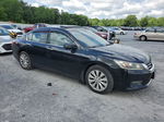 2014 Honda Accord Exl Black vin: 1HGCR3F82EA000148