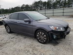 2014 Honda Accord Exl Gray vin: 1HGCR3F82EA021419