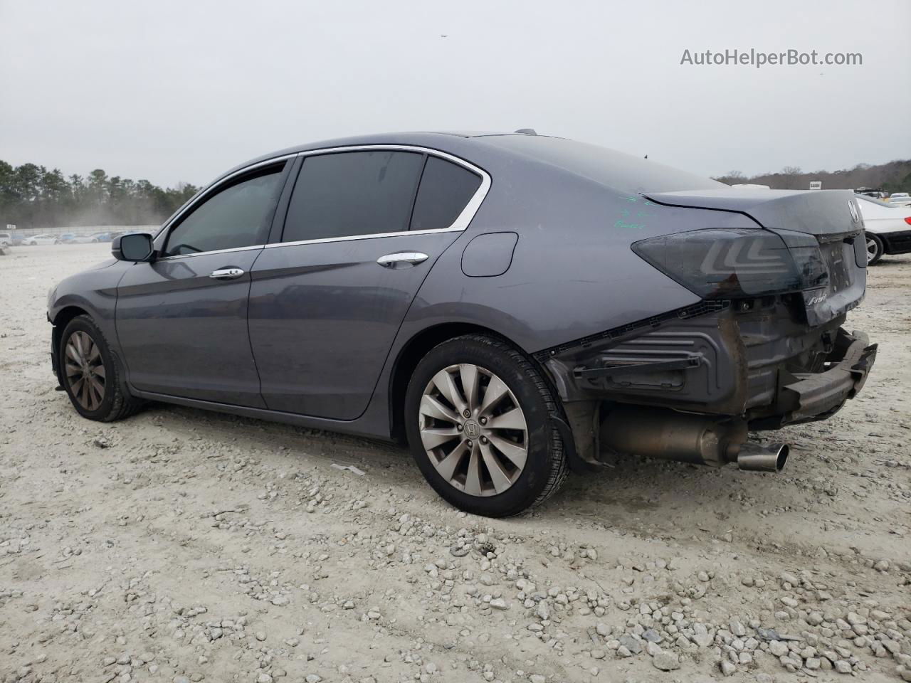 2014 Honda Accord Exl Gray vin: 1HGCR3F82EA021419