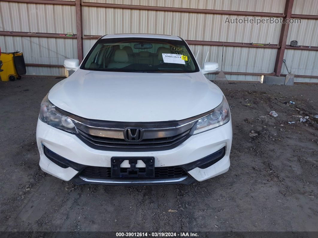 2016 Honda Accord Ex-l V-6 White vin: 1HGCR3F83GA035123