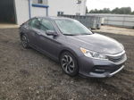 2017 Honda Accord Exl Charcoal vin: 1HGCR3F83HA004505