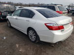 2014 Honda Accord Exl Белый vin: 1HGCR3F84EA004251