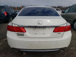 2014 Honda Accord Exl Белый vin: 1HGCR3F84EA004251