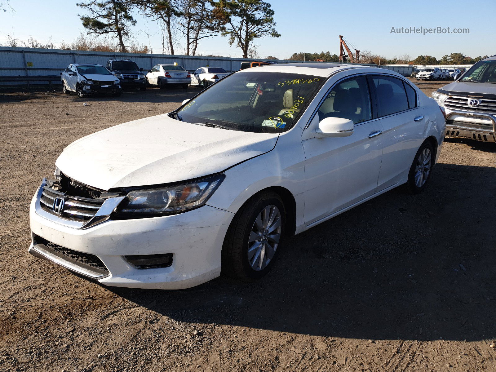 2014 Honda Accord Exl White vin: 1HGCR3F84EA009031