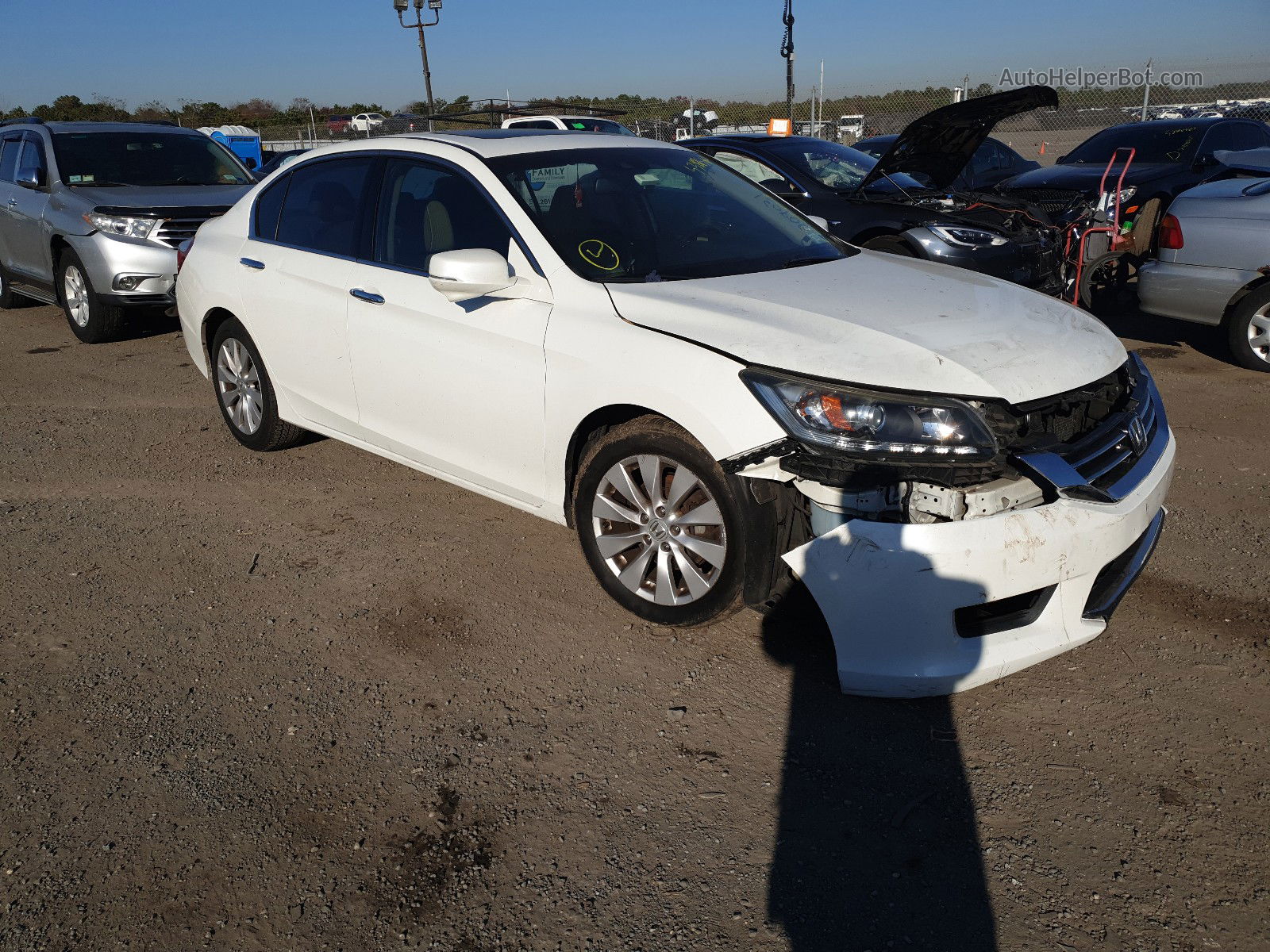 2014 Honda Accord Exl Белый vin: 1HGCR3F84EA009031