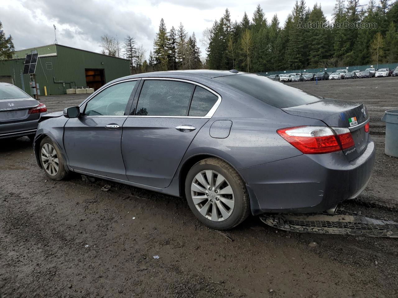 2014 Honda Accord Exl Gray vin: 1HGCR3F84EA025889