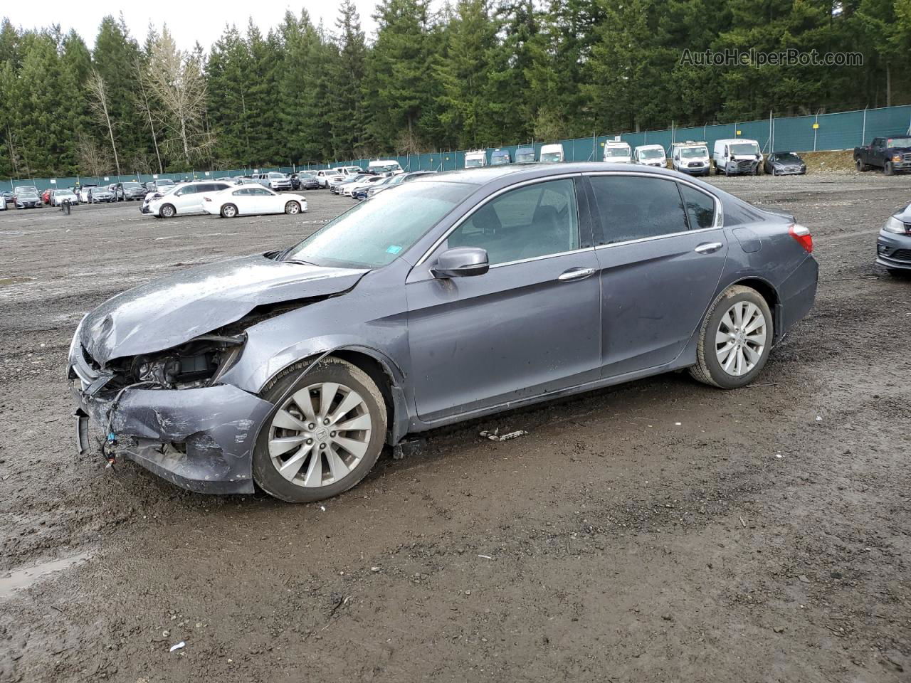 2014 Honda Accord Exl Gray vin: 1HGCR3F84EA025889