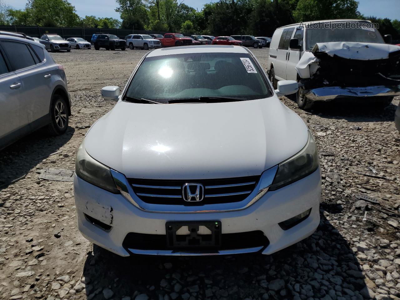 2014 Honda Accord Exl Белый vin: 1HGCR3F84EA037119