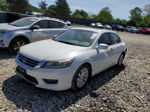 2014 Honda Accord Exl Белый vin: 1HGCR3F84EA037119