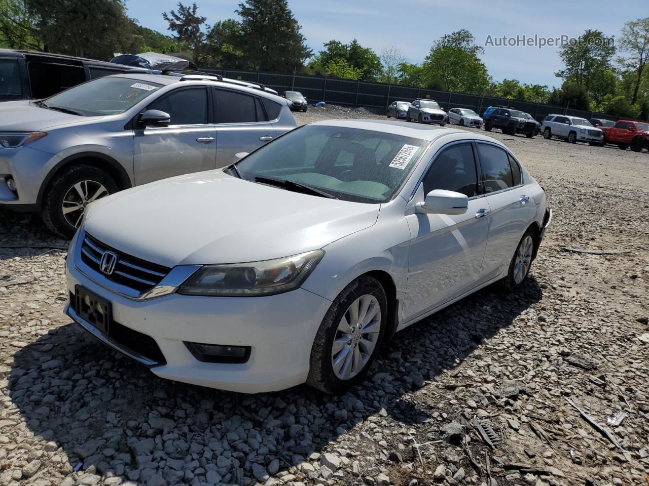 2014 Honda Accord Exl White vin: 1HGCR3F84EA037119