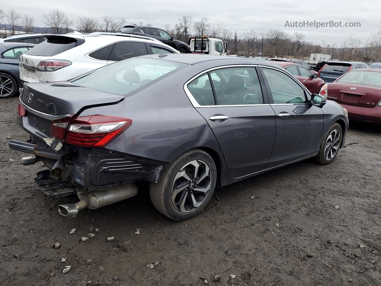 2017 Honda Accord Exl Gray vin: 1HGCR3F84HA045869