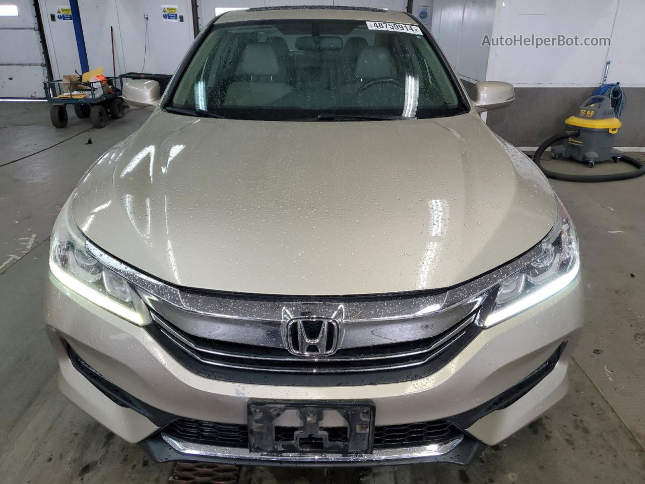 2016 Honda Accord Exl Золотой vin: 1HGCR3F85GA023331