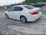 2014 Honda Accord Ex-l V-6 Белый vin: 1HGCR3F86EA003733