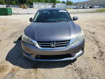 2014 Honda Accord Exl Gray vin: 1HGCR3F86EA017759