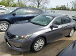 2014 Honda Accord Exl Gray vin: 1HGCR3F86EA035095