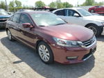 2014 Honda Accord Exl Burgundy vin: 1HGCR3F87EA016474