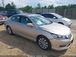 2014 Honda Accord Ex-l V-6 Beige vin: 1HGCR3F87EA021593