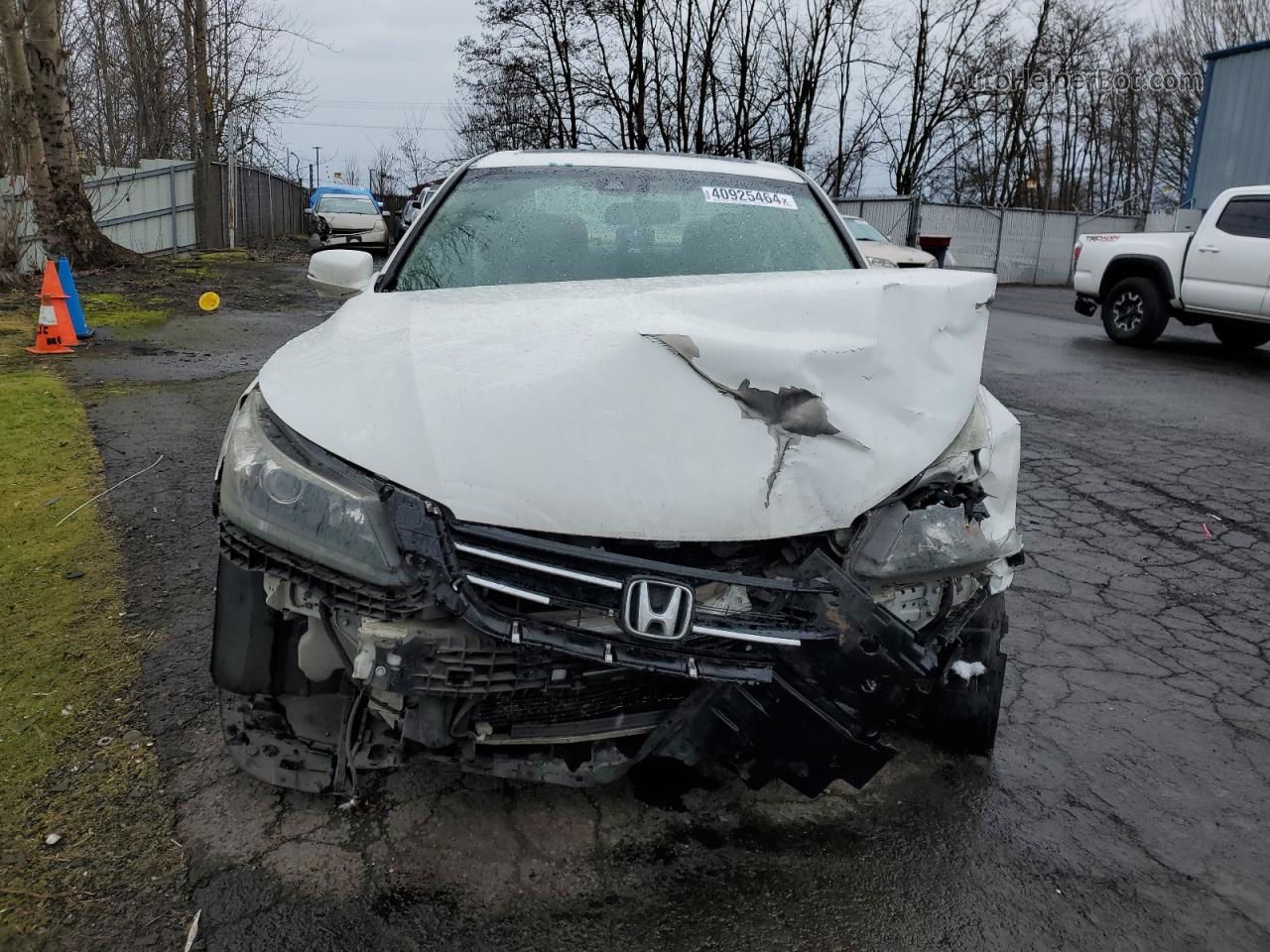 2014 Honda Accord Exl Белый vin: 1HGCR3F87EA022341