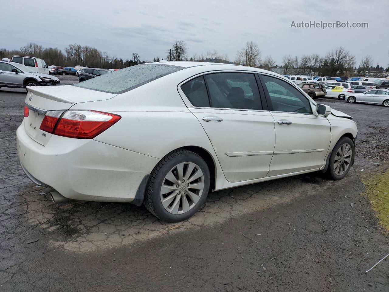 2014 Honda Accord Exl Белый vin: 1HGCR3F87EA022341