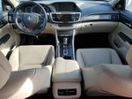 2014 Honda Accord Exl Белый vin: 1HGCR3F88EA040556