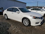 2014 Honda Accord Exl Белый vin: 1HGCR3F88EA040556