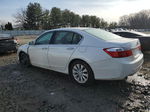 2014 Honda Accord Exl White vin: 1HGCR3F88EA040556