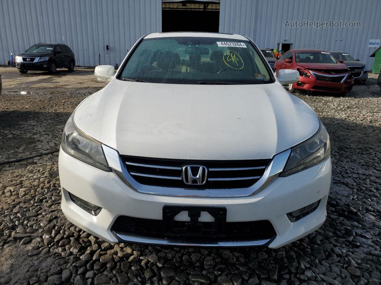 2014 Honda Accord Exl Белый vin: 1HGCR3F88EA040556