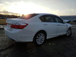 2014 Honda Accord Exl White vin: 1HGCR3F88EA040573