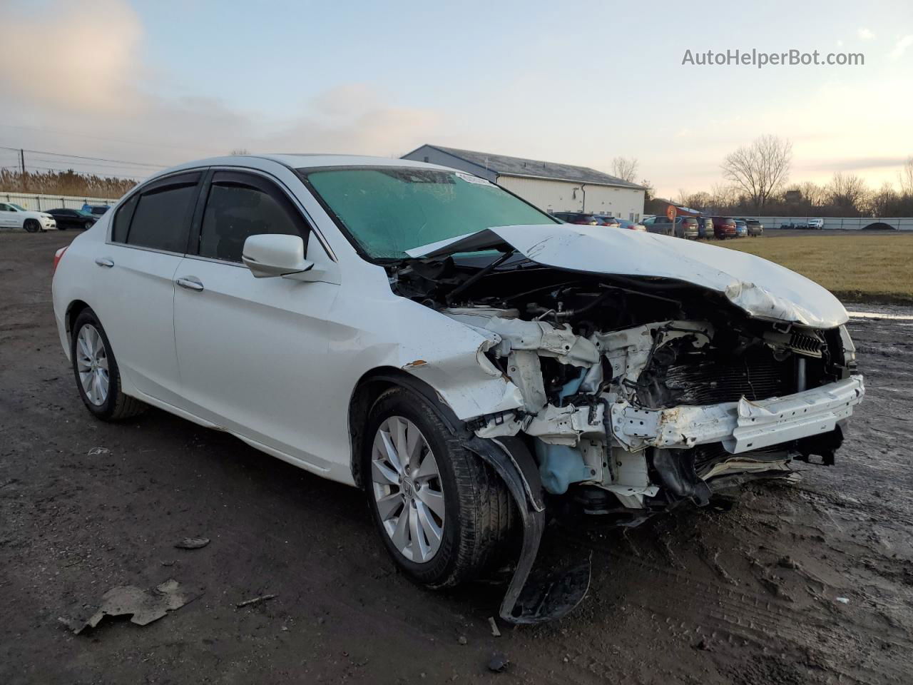 2014 Honda Accord Exl White vin: 1HGCR3F88EA040573