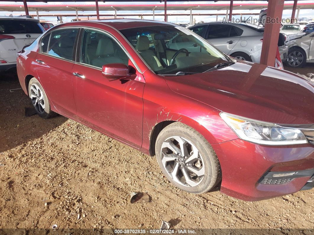 2016 Honda Accord Ex-l V-6 Maroon vin: 1HGCR3F88GA021749