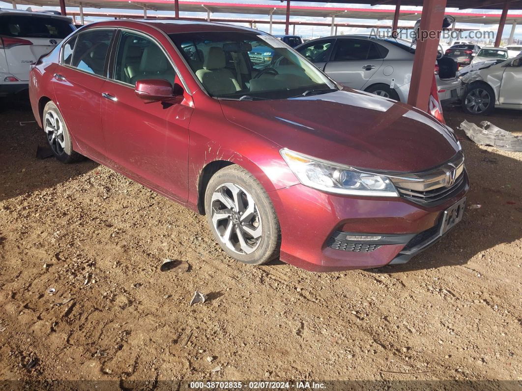 2016 Honda Accord Ex-l V-6 Maroon vin: 1HGCR3F88GA021749