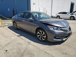 2017 Honda Accord Exl Gray vin: 1HGCR3F88HA027729