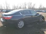 2014 Honda Accord Exl Black vin: 1HGCR3F89EA005444