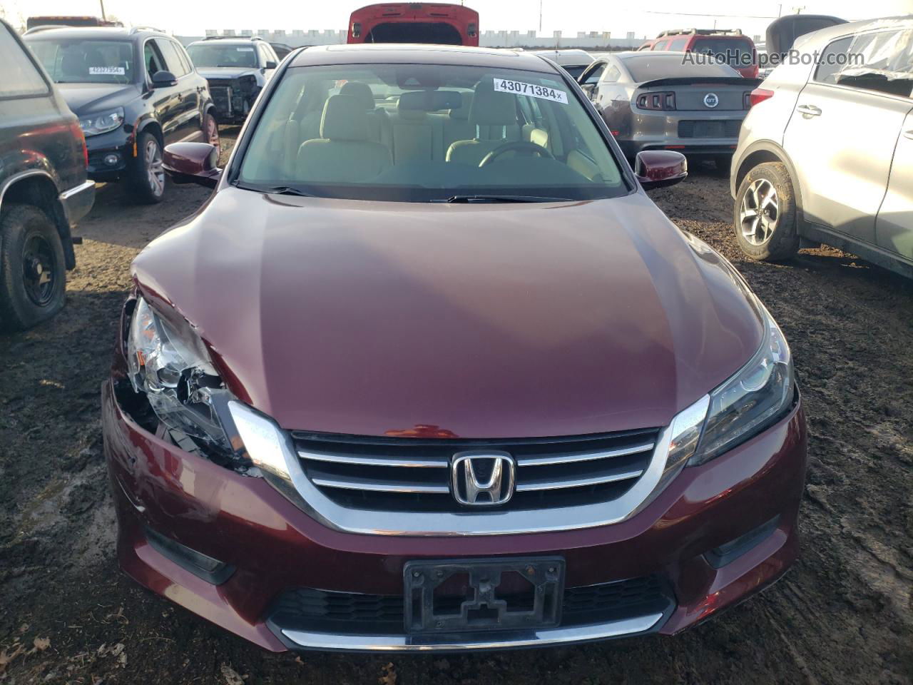 2014 Honda Accord Exl Бордовый vin: 1HGCR3F89EA039254