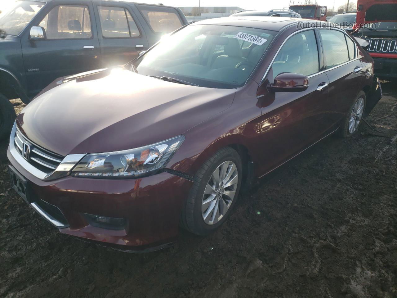 2014 Honda Accord Exl Бордовый vin: 1HGCR3F89EA039254