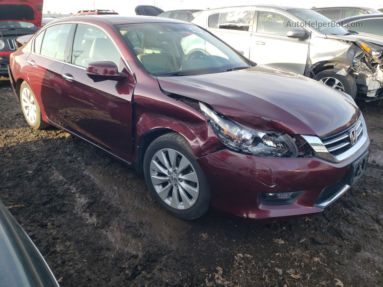 2014 Honda Accord Exl Burgundy vin: 1HGCR3F89EA039254