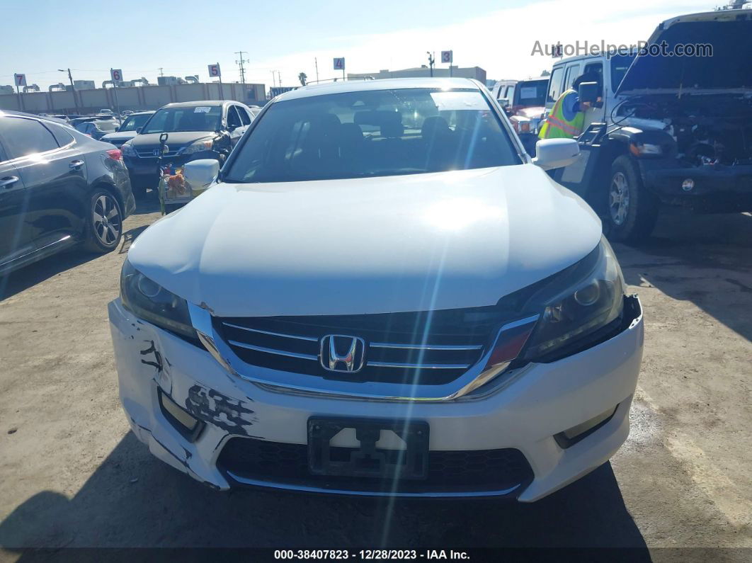 2014 Honda Accord Ex-l V-6 White vin: 1HGCR3F8XEA008076