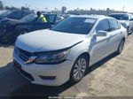 2014 Honda Accord Ex-l V-6 White vin: 1HGCR3F8XEA008076