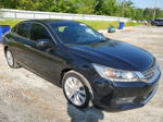 2014 Honda Accord Touring Black vin: 1HGCR3F97EA003636