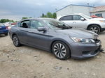 2014 Honda Accord Hybrid Exl Gray vin: 1HGCR6F56EA005215