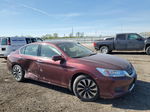 2014 Honda Accord Touring Hybrid Burgundy vin: 1HGCR6F73EA010938