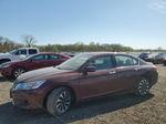 2014 Honda Accord Touring Hybrid Burgundy vin: 1HGCR6F73EA010938