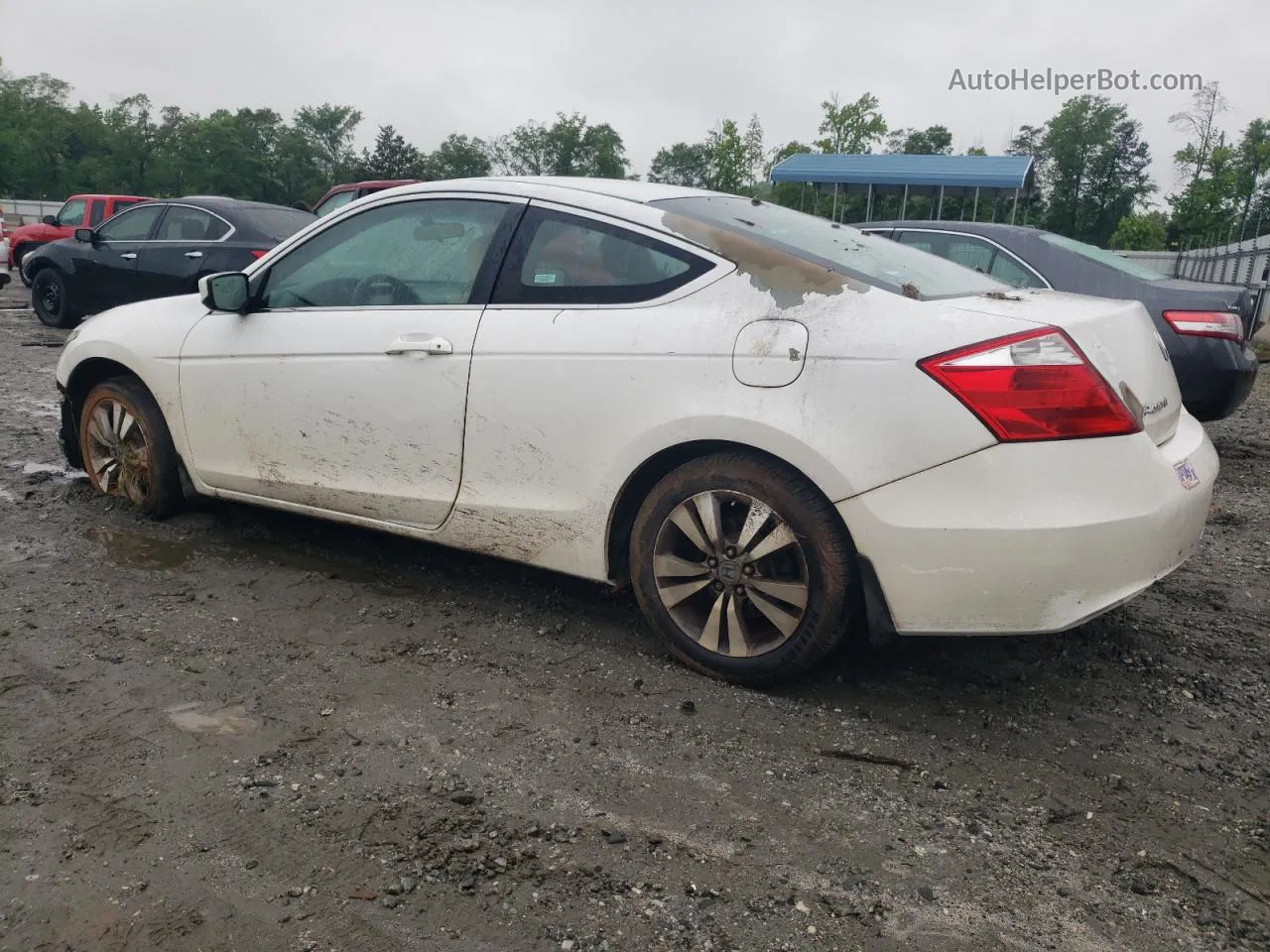 2009 Honda Accord Lx White vin: 1HGCS12389A008098