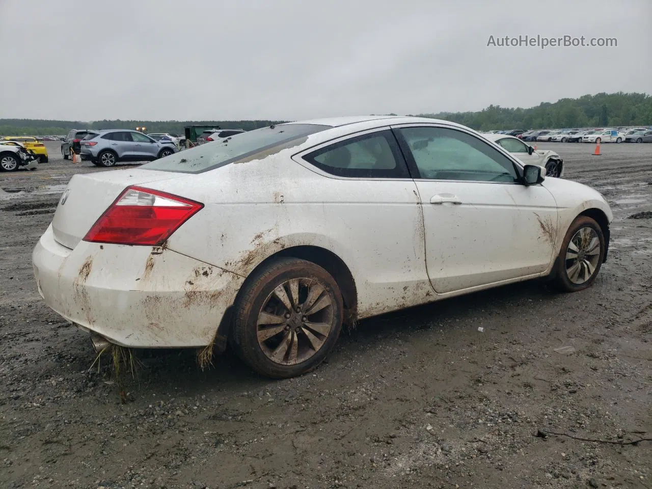 2009 Honda Accord Lx White vin: 1HGCS12389A008098