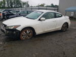 2009 Honda Accord Lx White vin: 1HGCS12389A008098