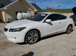 2009 Honda Accord Lx White vin: 1HGCS12399A003217