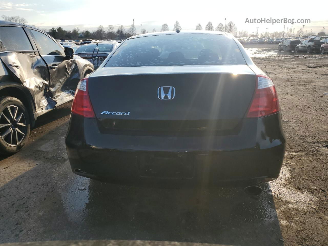 2009 Honda Accord Exl Black vin: 1HGCS12809A015588