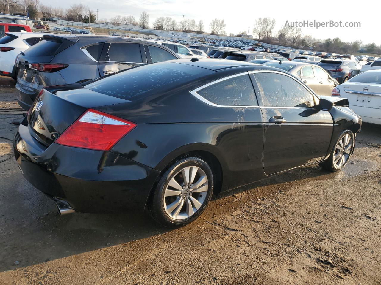 2009 Honda Accord Exl Black vin: 1HGCS12809A015588