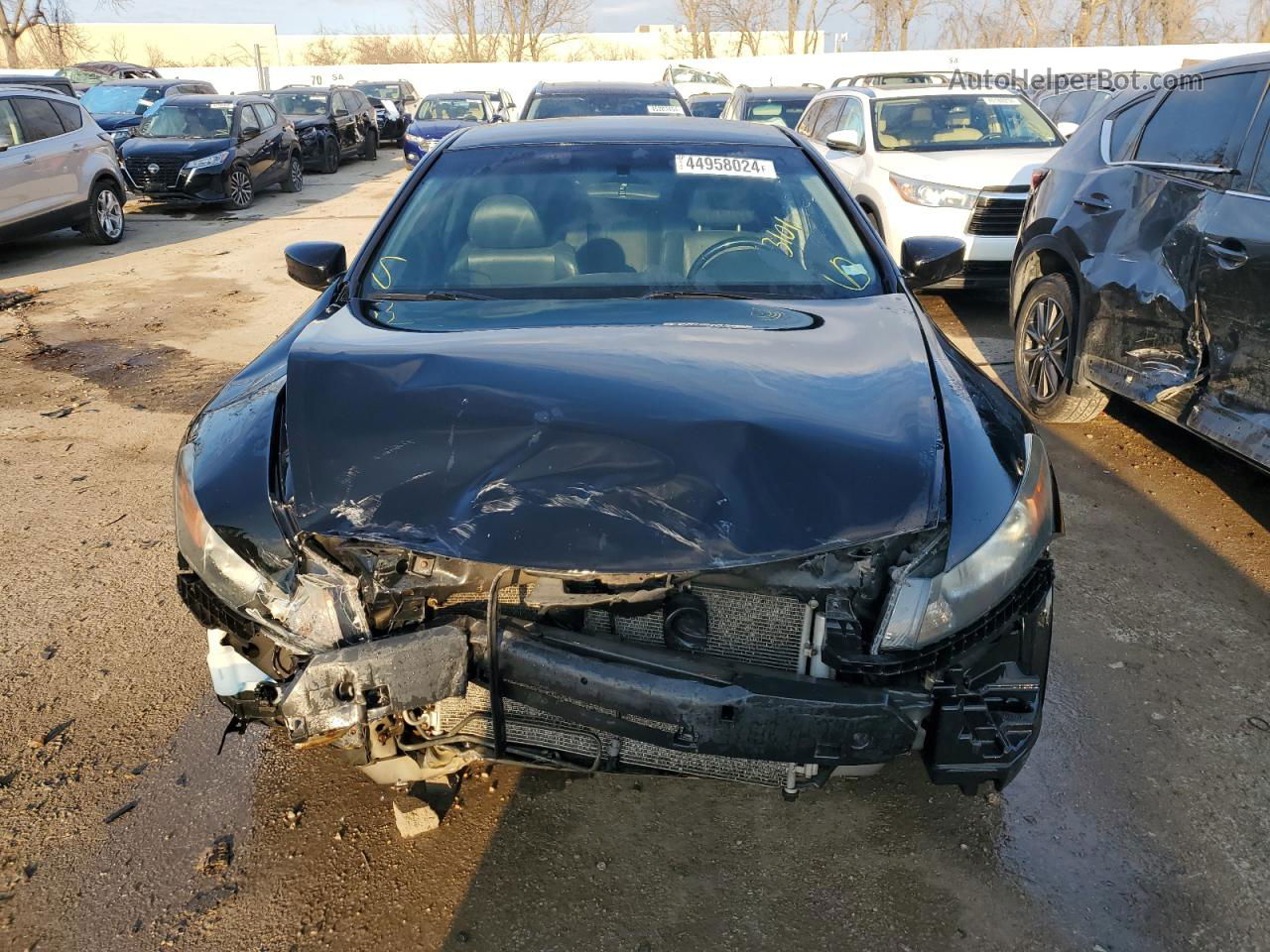 2009 Honda Accord Exl Black vin: 1HGCS12809A015588