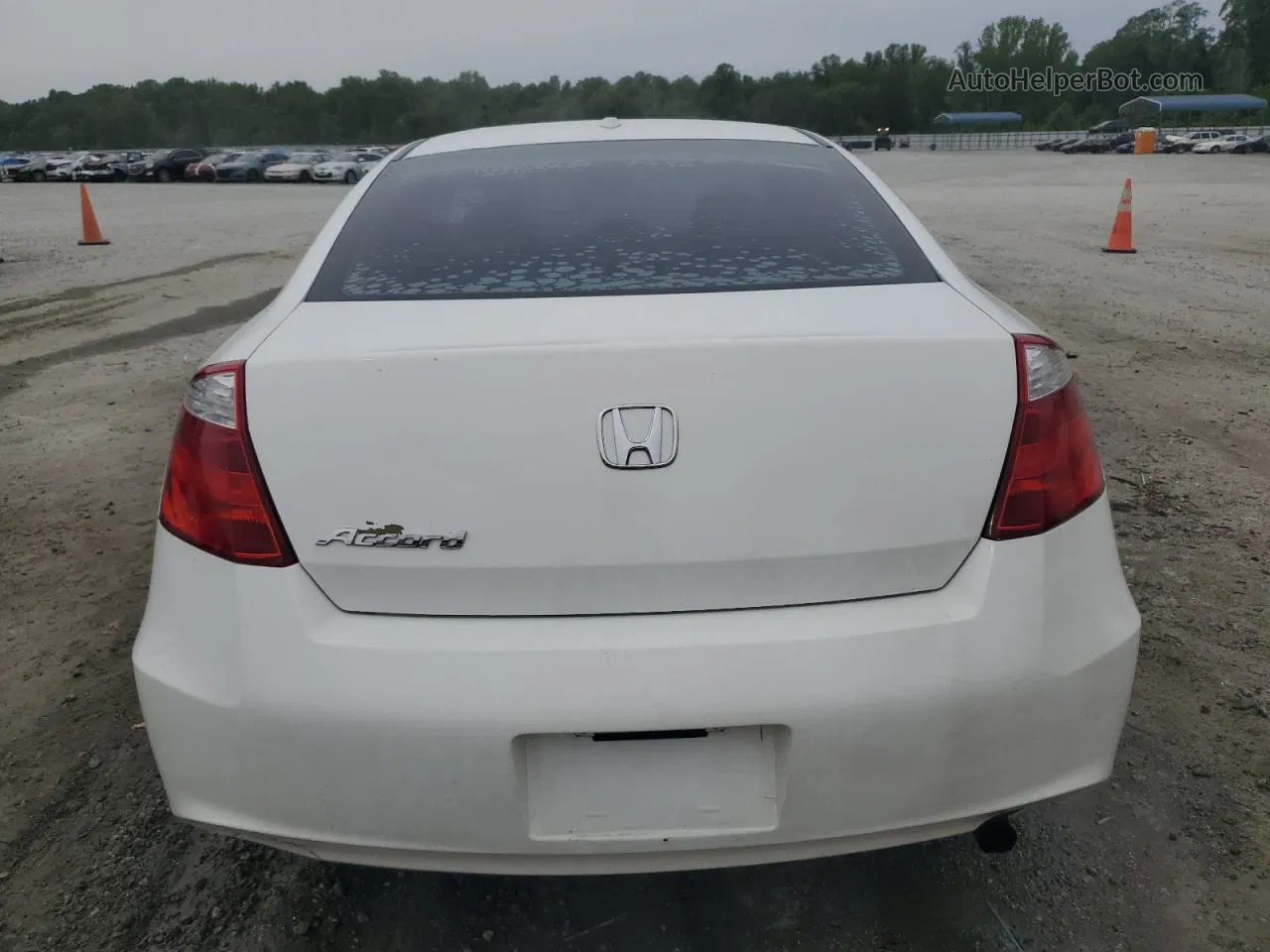 2009 Honda Accord Exl White vin: 1HGCS12819A011260